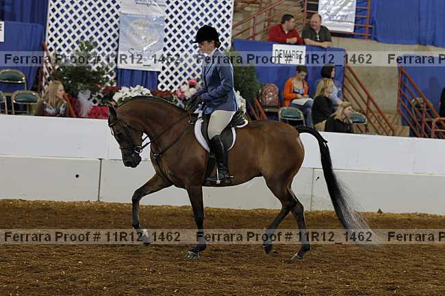 Proof Number 11r12_1462