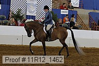 11r12_1462 thumbnail