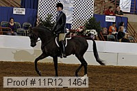 11r12_1464 thumbnail