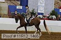 11r12_1465 thumbnail