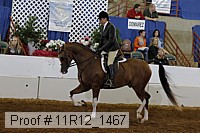 11r12_1467 thumbnail
