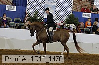 11r12_1470 thumbnail