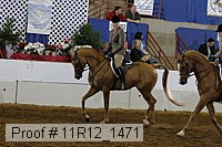 11r12_1471 thumbnail