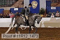 11r12_1473 thumbnail