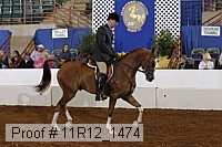 11r12_1474 thumbnail