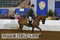 11r12_1475 thumbnail
