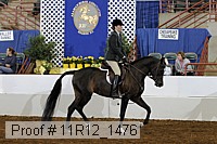 11r12_1476 thumbnail