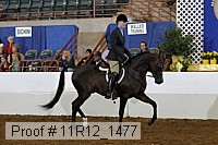 11r12_1477 thumbnail