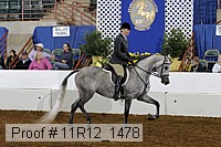 11r12_1478 thumbnail