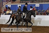 11r12_1479 thumbnail