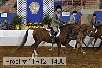11r12_1480 thumbnail