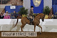 11r12_1481 thumbnail