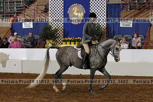 Proof Number 11r12_1482