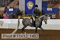 11r12_1482 thumbnail