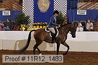 11r12_1483 thumbnail