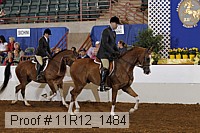 11r12_1484 thumbnail