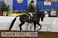 11r12_1485 thumbnail