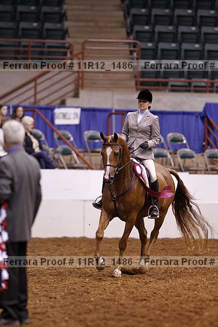 Proof Number 11r12_1486