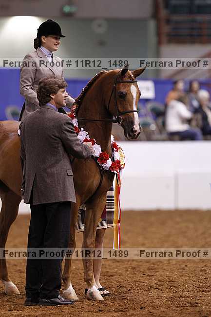 Proof Number 11r12_1489