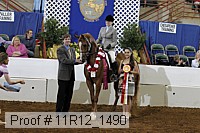 11r12_1490 thumbnail