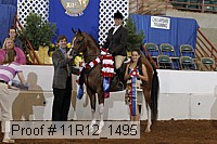 11r12_1495 thumbnail