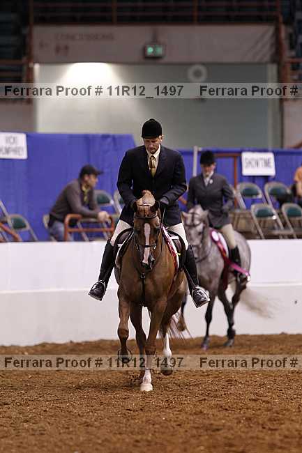 Proof Number 11r12_1497