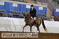 11r12_1498 thumbnail