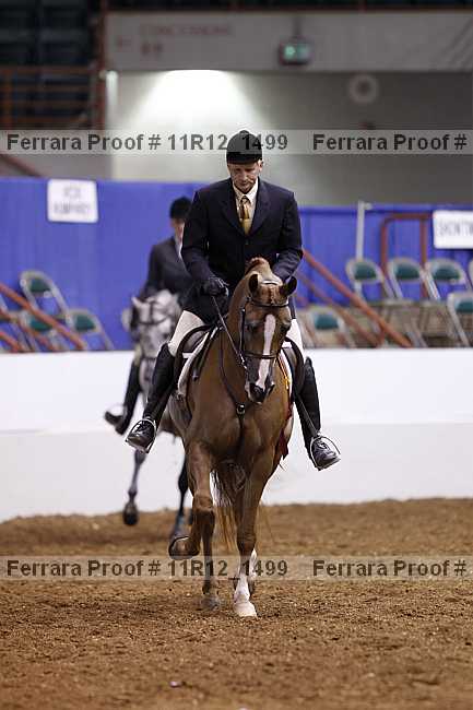 Proof Number 11r12_1499