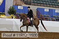 11r12_1500 thumbnail