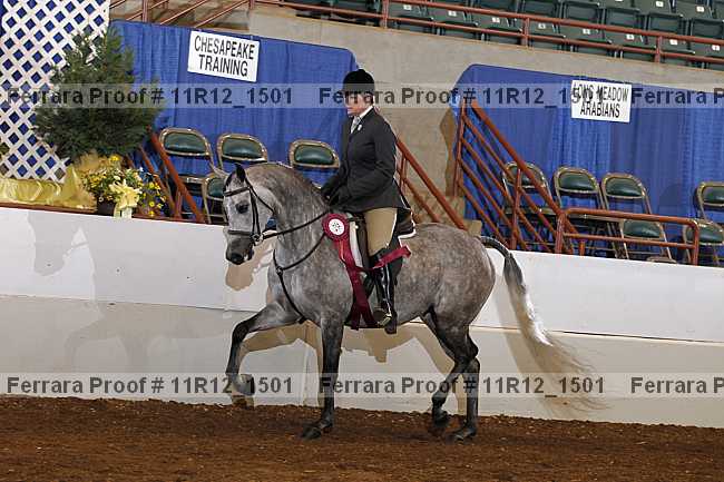 Proof Number 11r12_1501