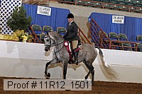 11r12_1501 thumbnail