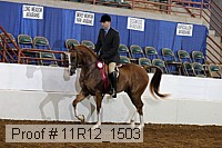 11r12_1503 thumbnail