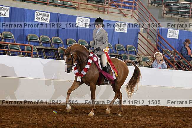 Proof Number 11r12_1505