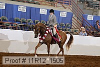 11r12_1505 thumbnail