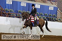 11r12_1508 thumbnail