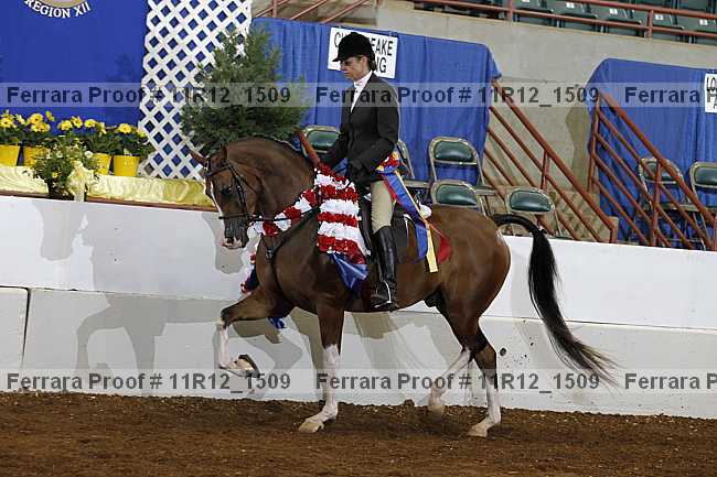 Proof Number 11r12_1509