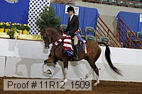 11r12_1509 thumbnail