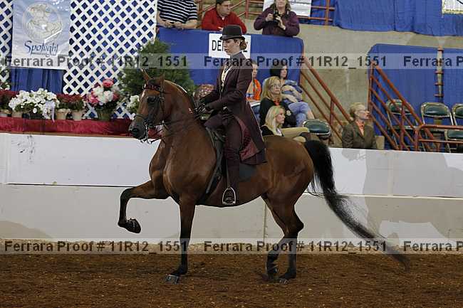 Proof Number 11r12_1551