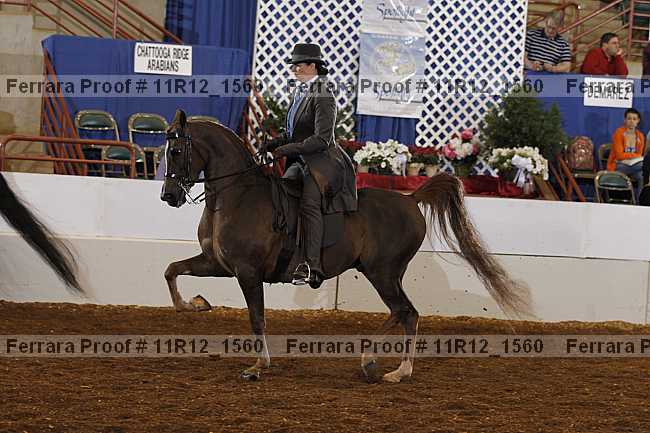 Proof Number 11r12_1560