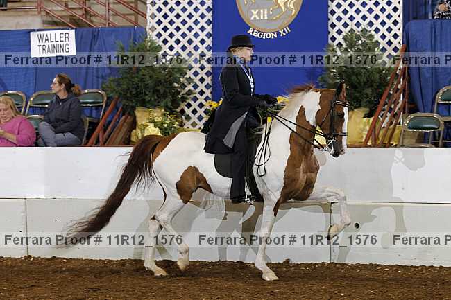 Proof Number 11r12_1576