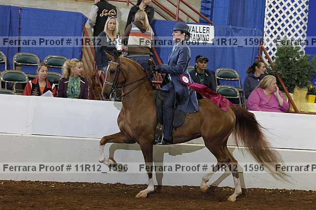 Proof Number 11r12_1596
