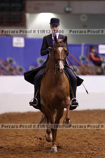 Proof Number 11r12_1606