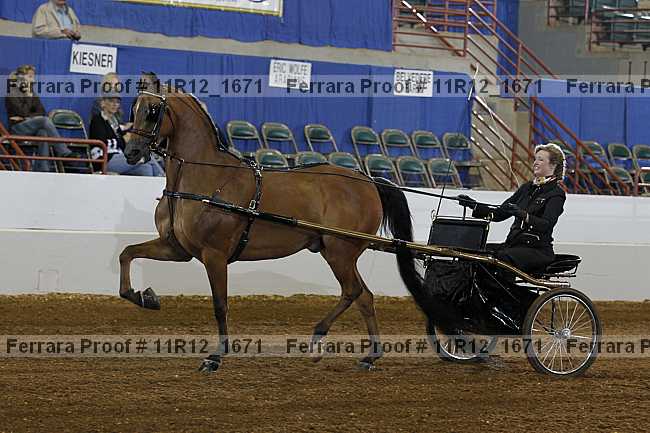 Proof Number 11r12_1671