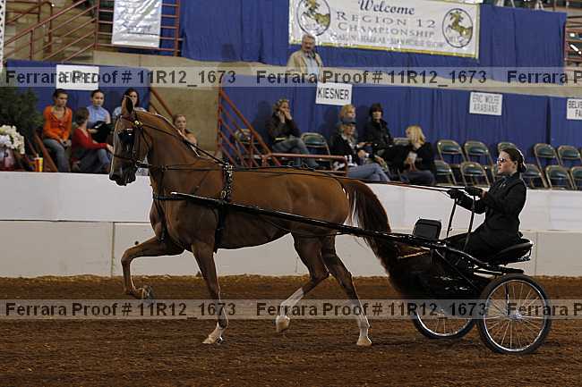Proof Number 11r12_1673