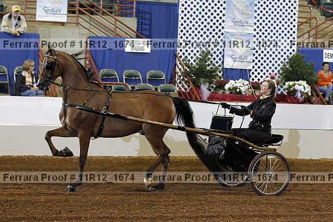 Proof Number 11r12_1674