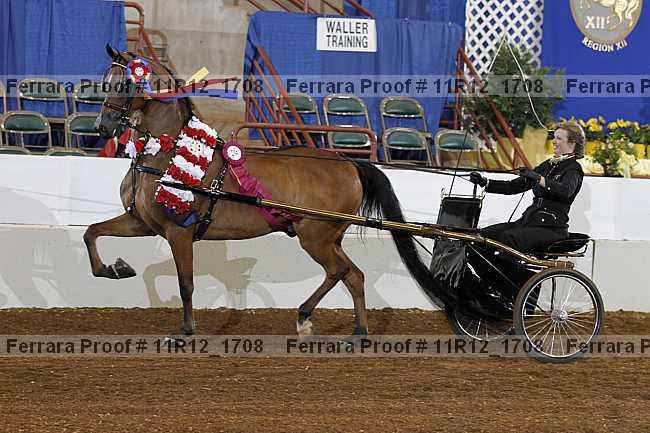 Proof Number 11r12_1708