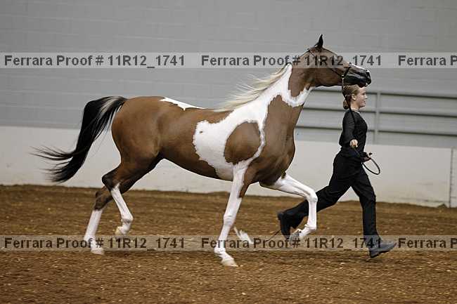 Proof Number 11r12_1741