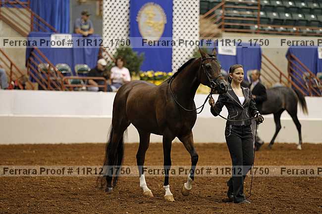 Proof Number 11r12_1750