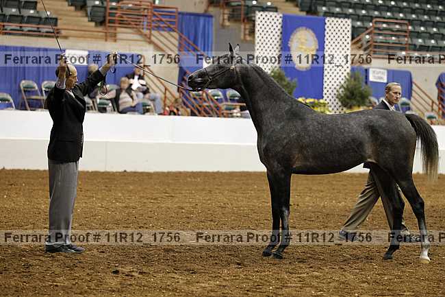 Proof Number 11r12_1756