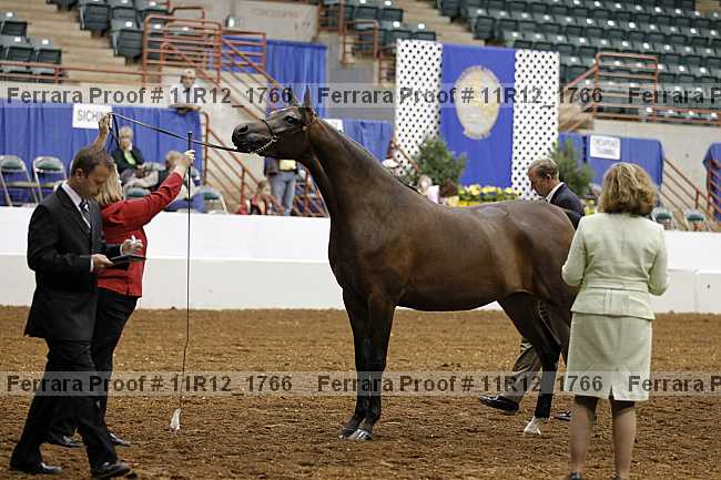 Proof Number 11r12_1766